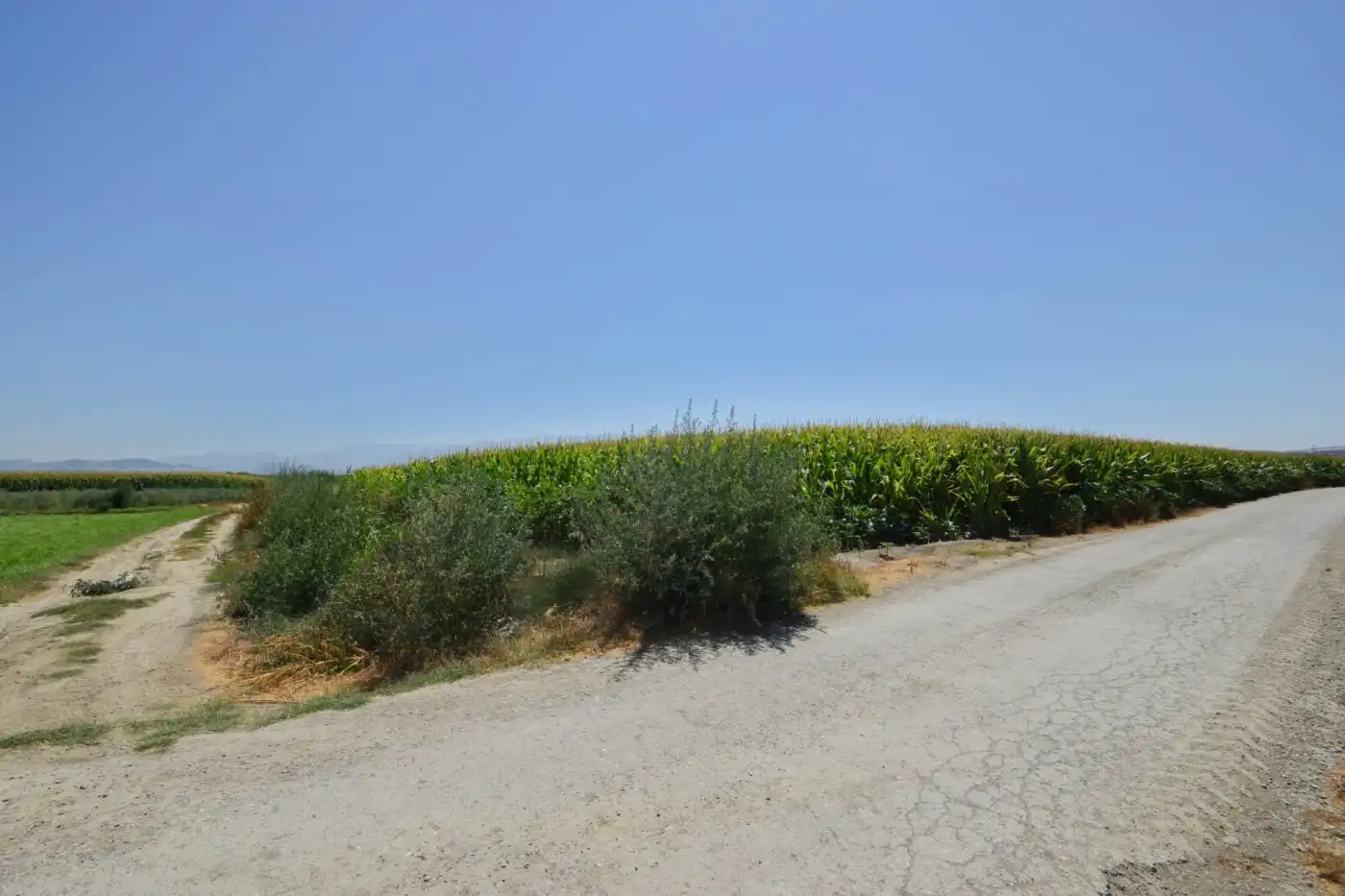 Finca rústica en venta en Belicena