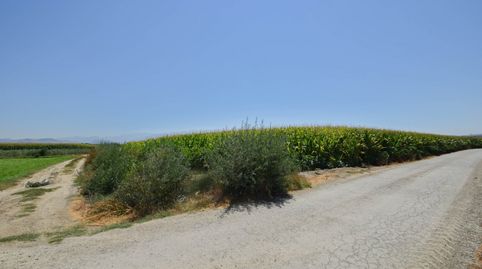 Foto 2 de Finca rústica en venta en Belicena, Vegas del Genil