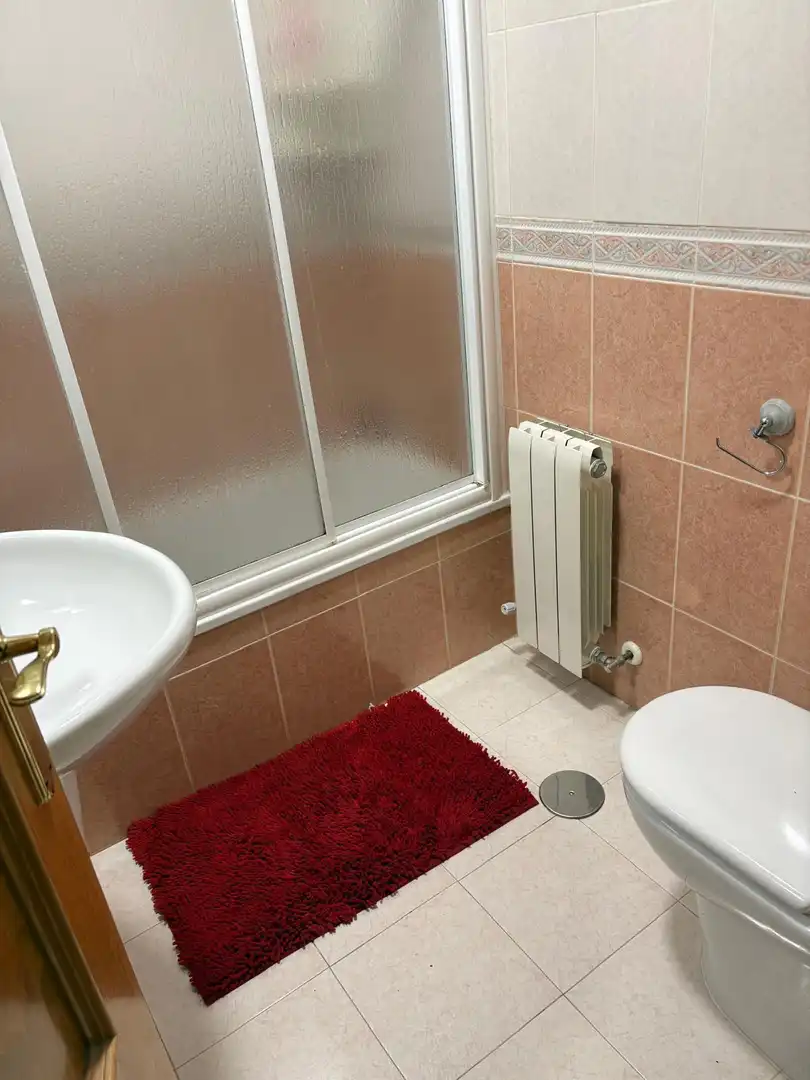 Bathroom of Detached homes for sale in Villa del Prado  with Heating, Private garden and Storage room