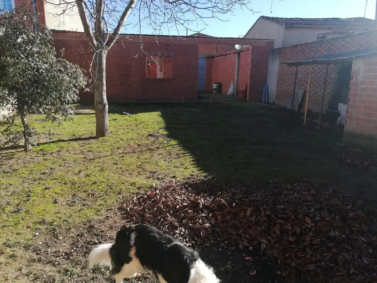 Jardín de Terreno en venta en Cantalpino, Salamanca
