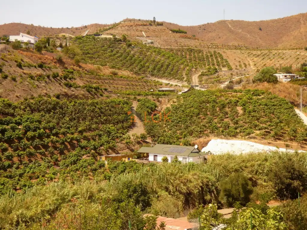 Casa en venta en Diseminados Cajiz Rural (Diseminado), imagen 18