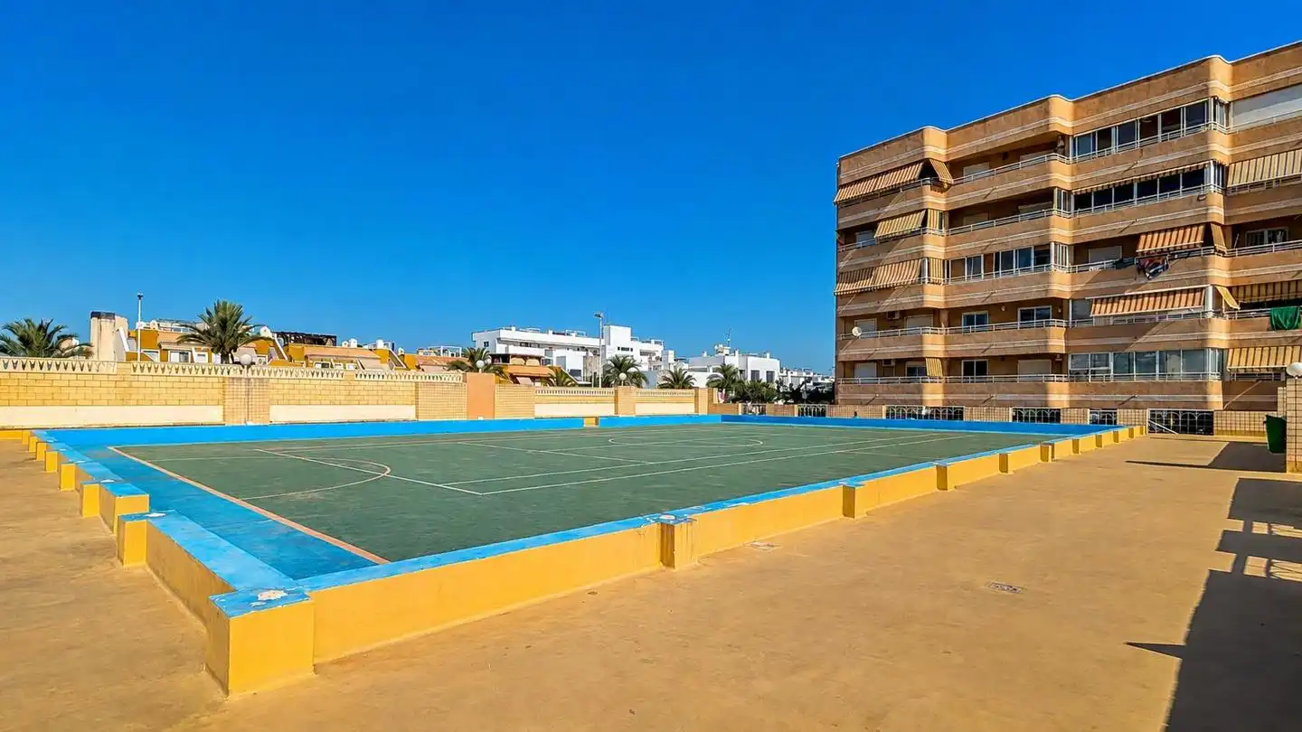 Exterior view of Detached homes for sale in Elche / Elx  with Terrace, Storage room and Swimming Pool