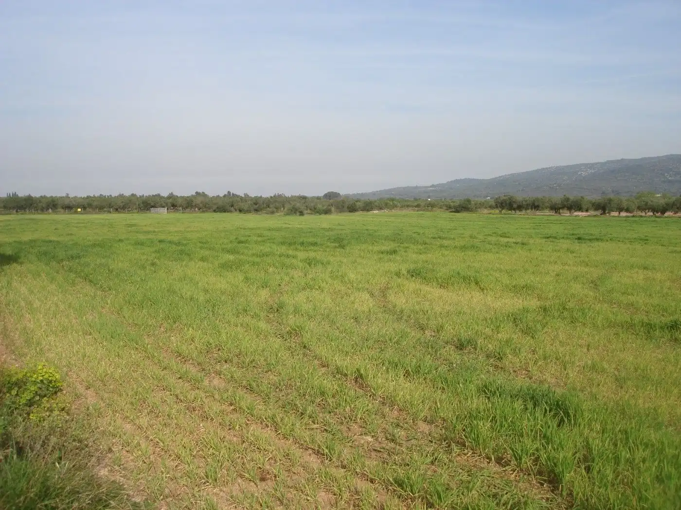 Terreno rustico in vendita a Godall, imagen 5