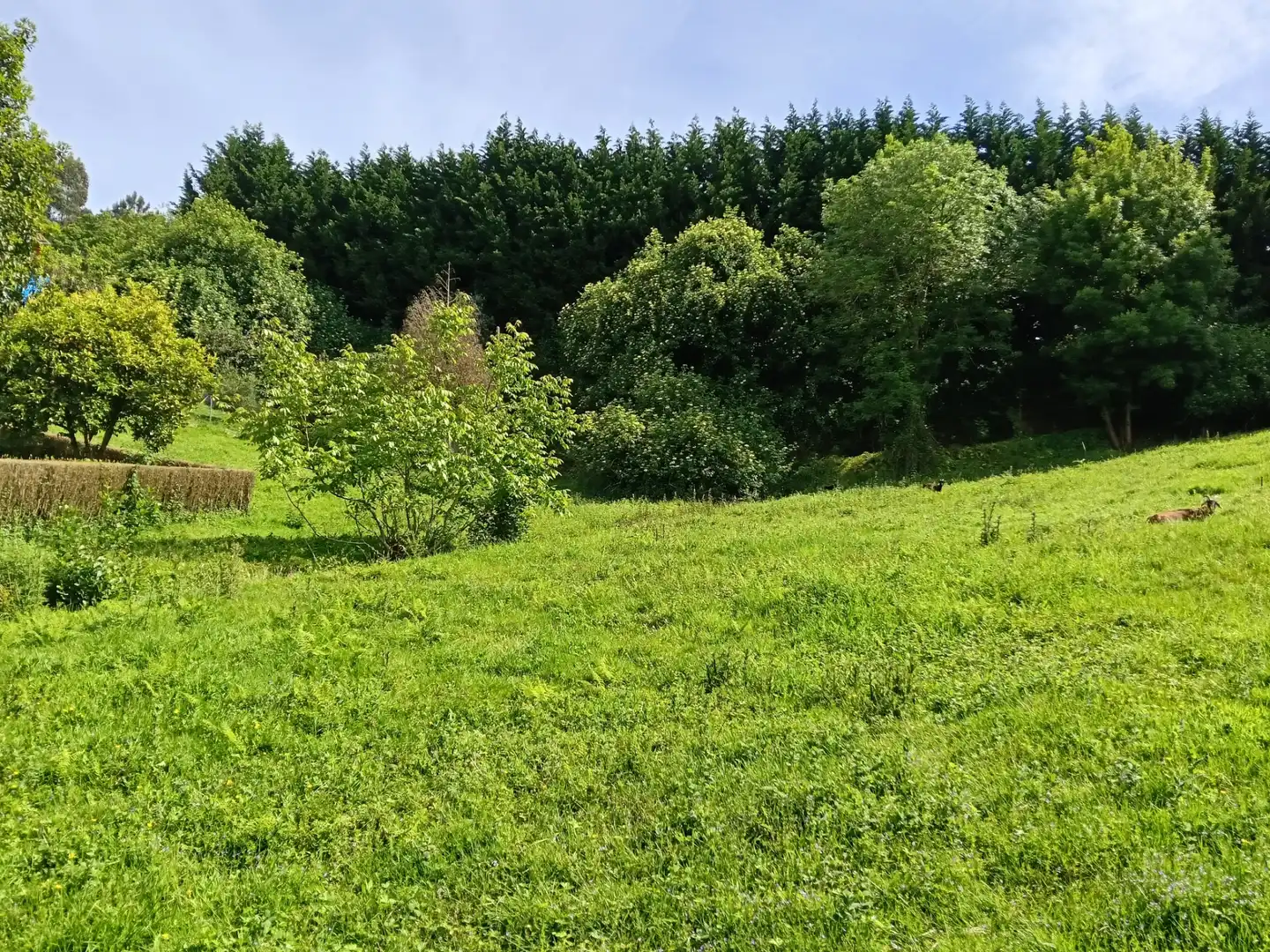 Adossat amb jardí en venda a Oza dos Ríos, imagen 14