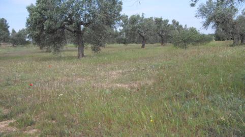 Photo 3 of Land for sale in Avinguda Barcelona, 5, Flix, Tarragona