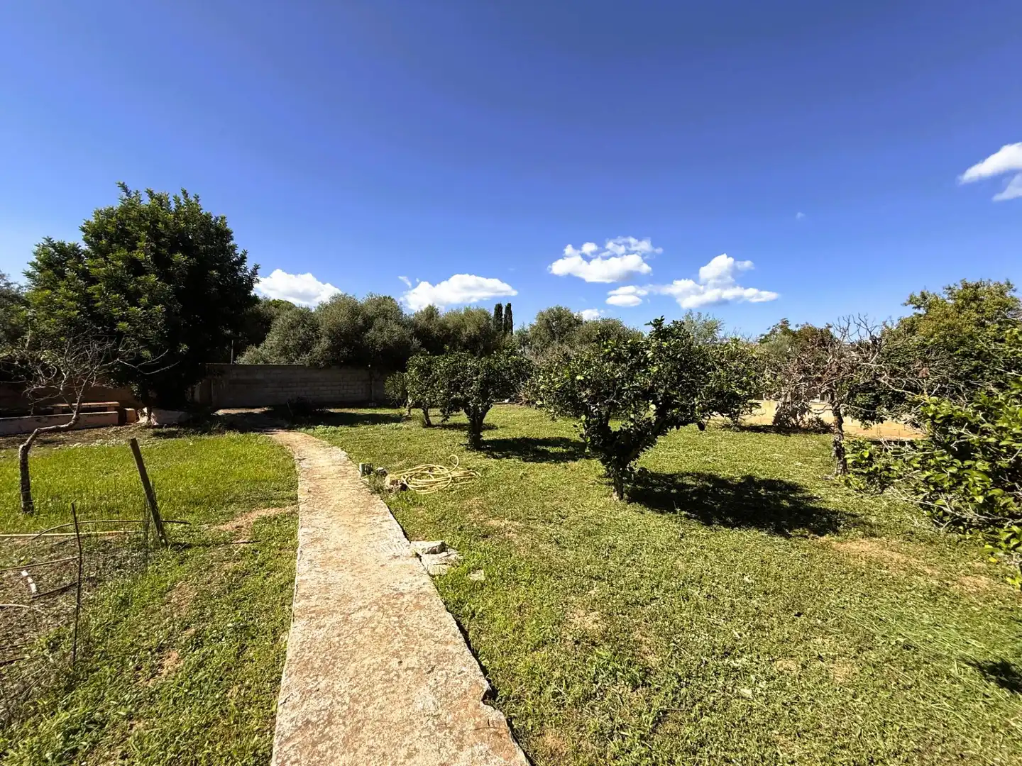 Jardí de Casa o xalet en venda en Marratxí amb Jardí privat, Terrassa i Piscina