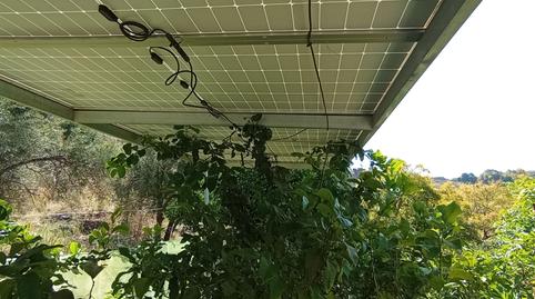 Photo 3 of Land for sale in Carretera el Morche, 279, El Morche, Torrox