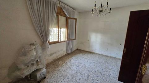 Foto 4 de Finca rústica en venda a Partida Valverde Bajo , Valverde, Elche / Elx