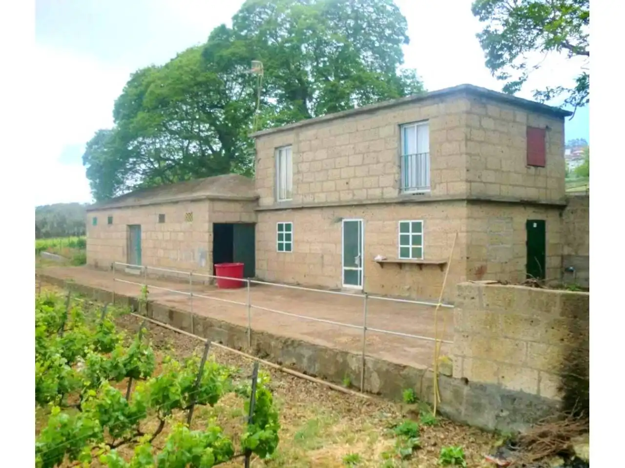 Vista exterior de Finca rústica en venta en El Sauzal con Jardín privado