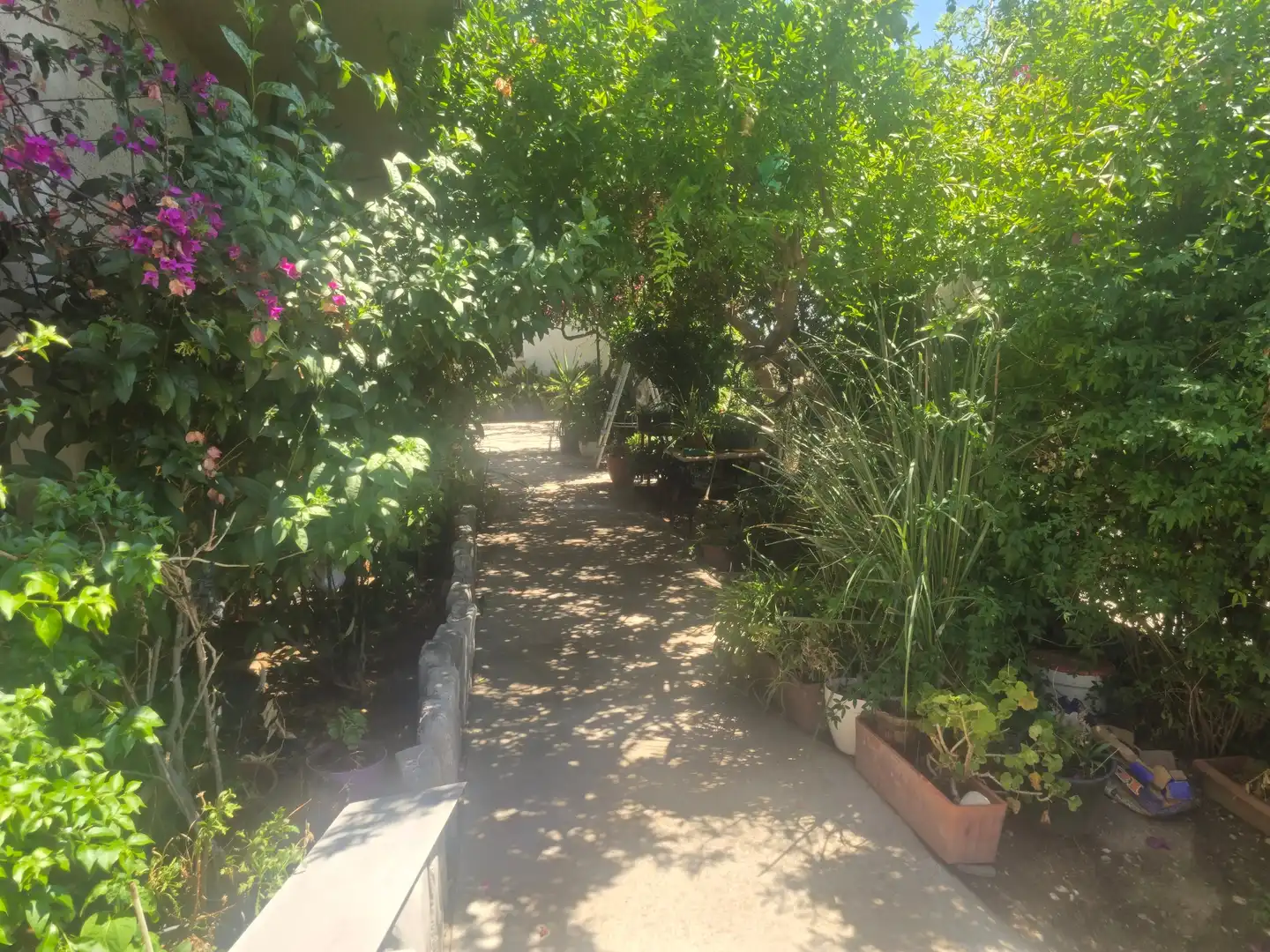 Jardín de Edificio en venta en Terrassa
