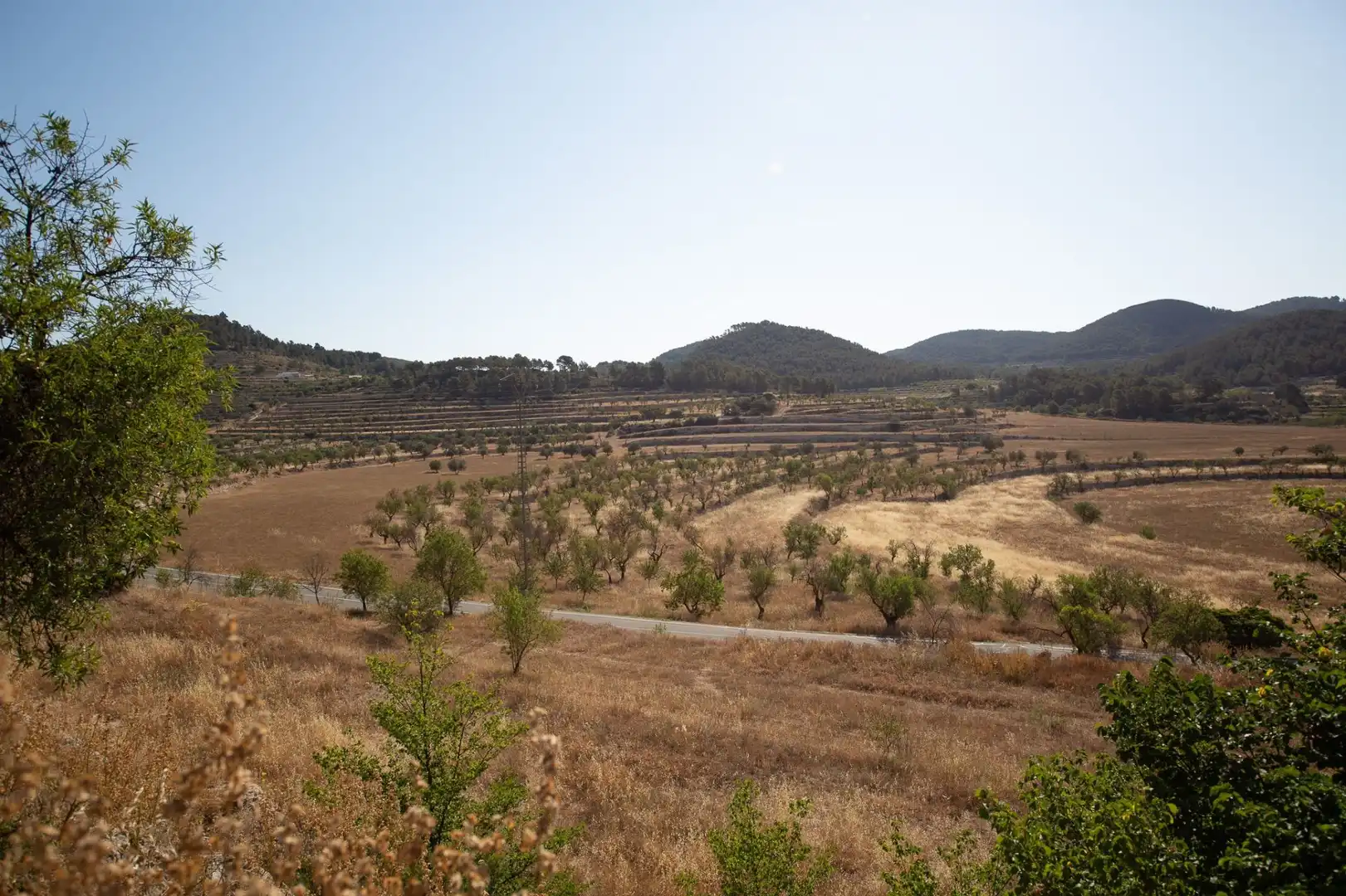 Casa rústica con jardín en venta en Torremanzanas / La Torre de les Maçanes, imagen 28