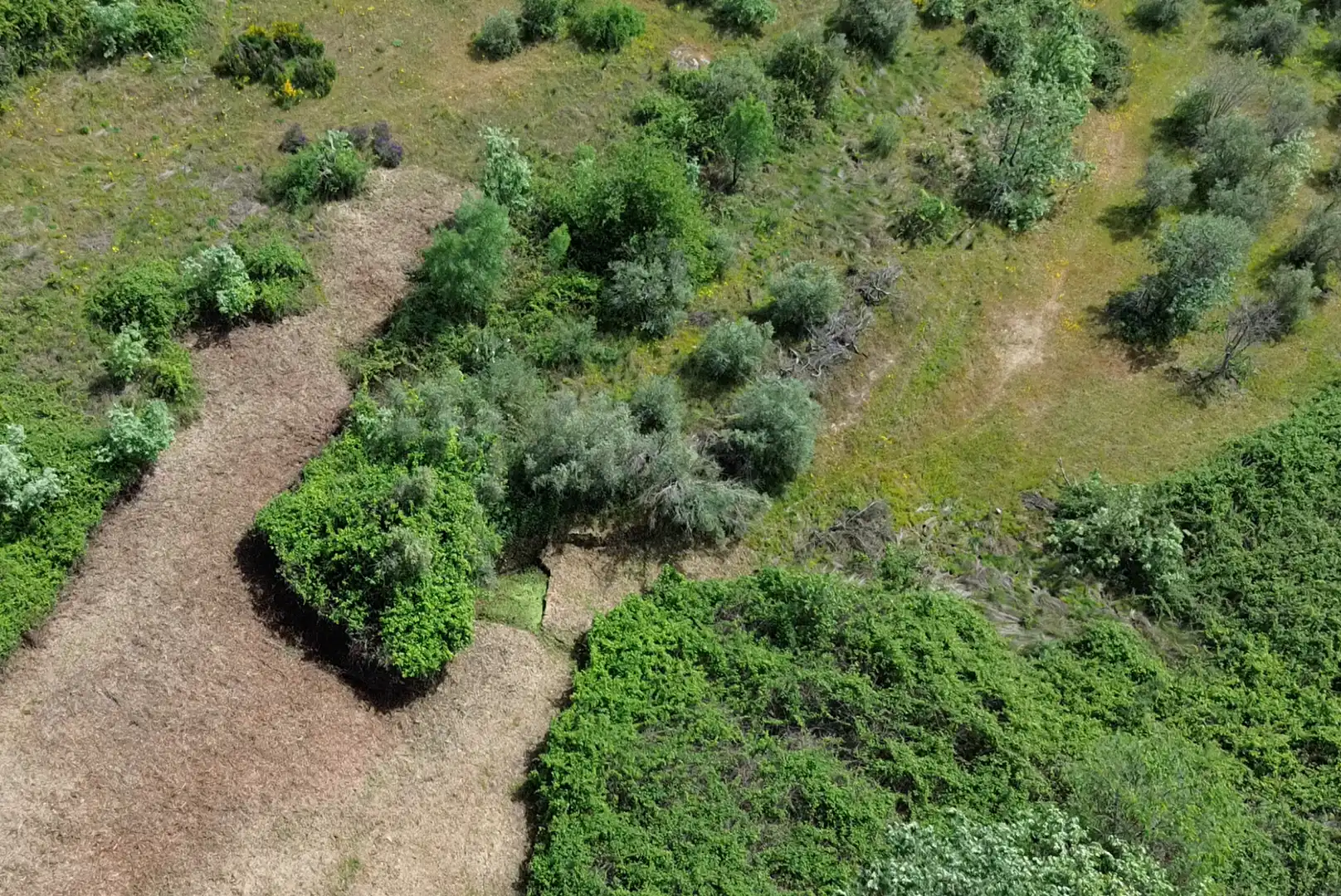 Terreni e lotti in vendita a Viandar de la Vera, imagen 2