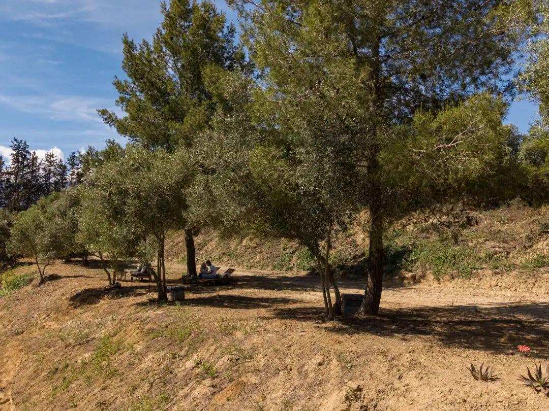 Parking de Terreno en venta en El Cigarral - Dehesa - Borrajo
