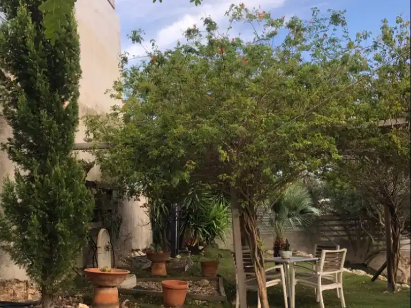 Jardí de Casa o xalet en venda en Cunit amb Aire condicionat, Piscina i Balcó
