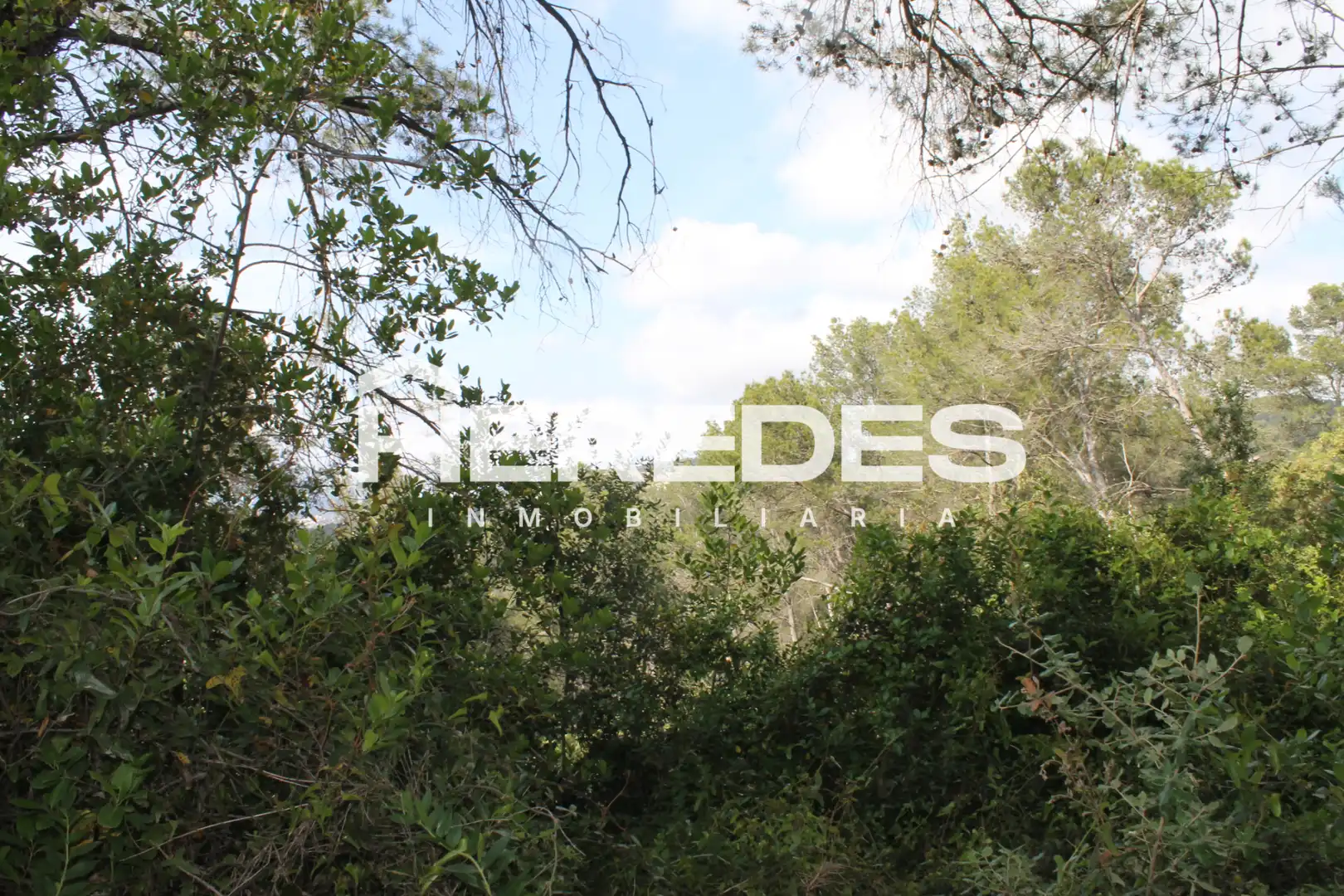 Terreno residencial en venta en Carrer Ronda del Moli 15, imagen 9