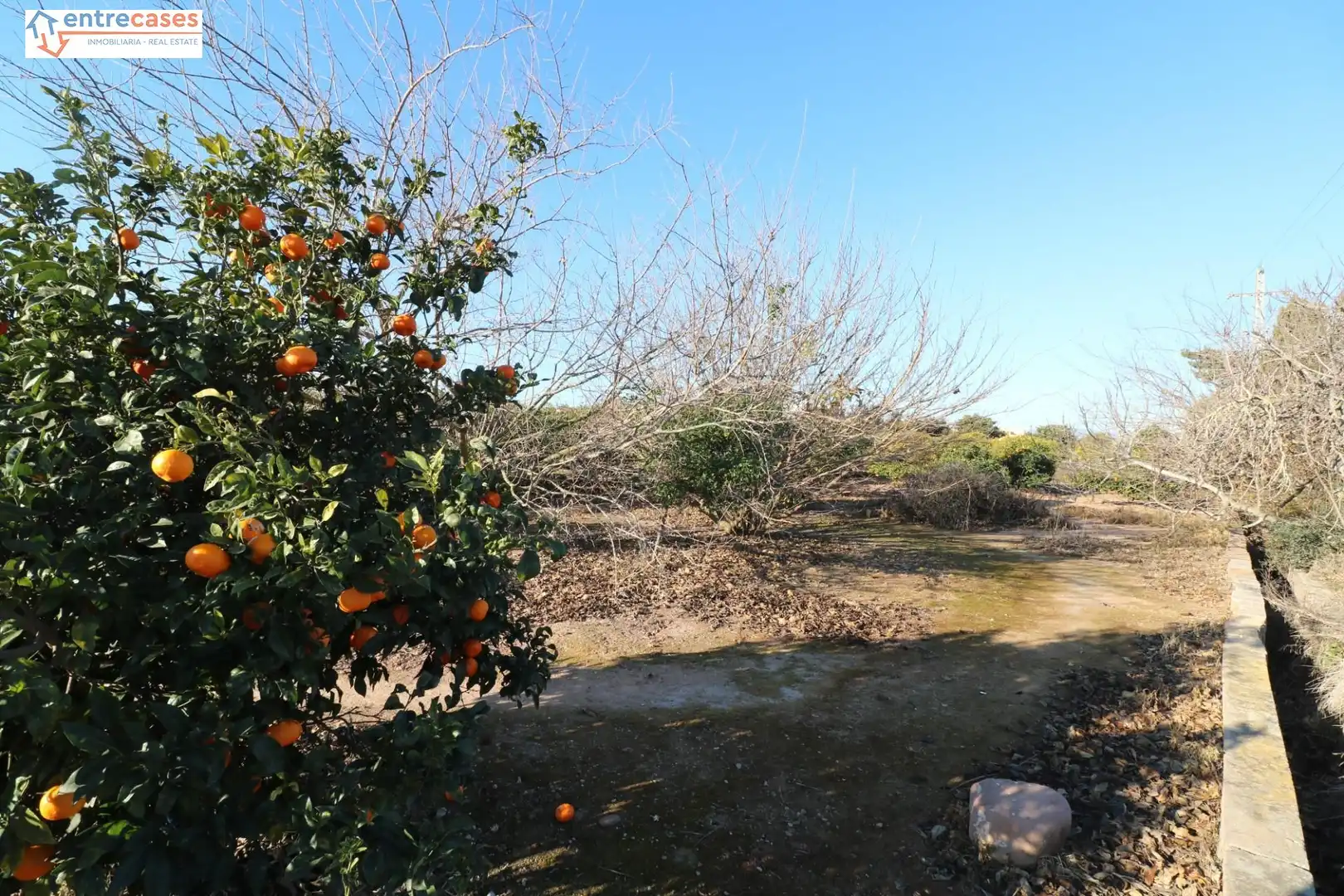 Rural land for sale in Canet d'En Berenguer, imagen 20