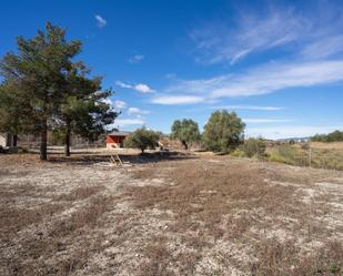 Land for sale in Sector Sdg-m8 Molina 8, 8, El Pino