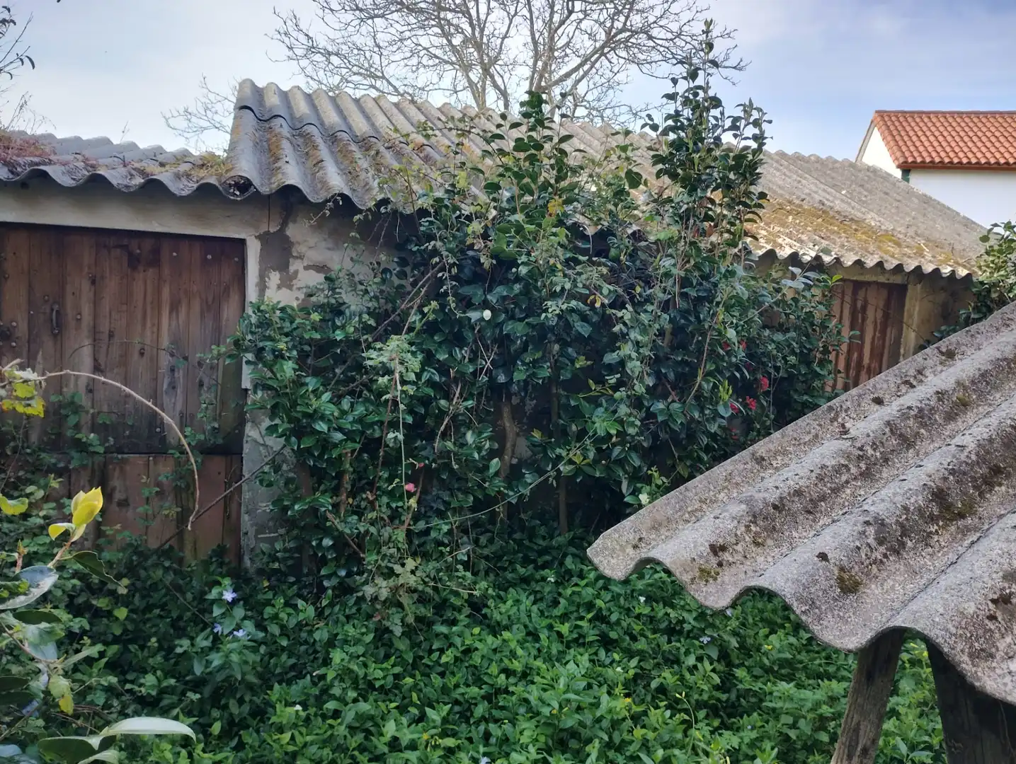 Maison avec jardin à vendre à A Malata - Catabois - Ciudad Jardín, imagen 8