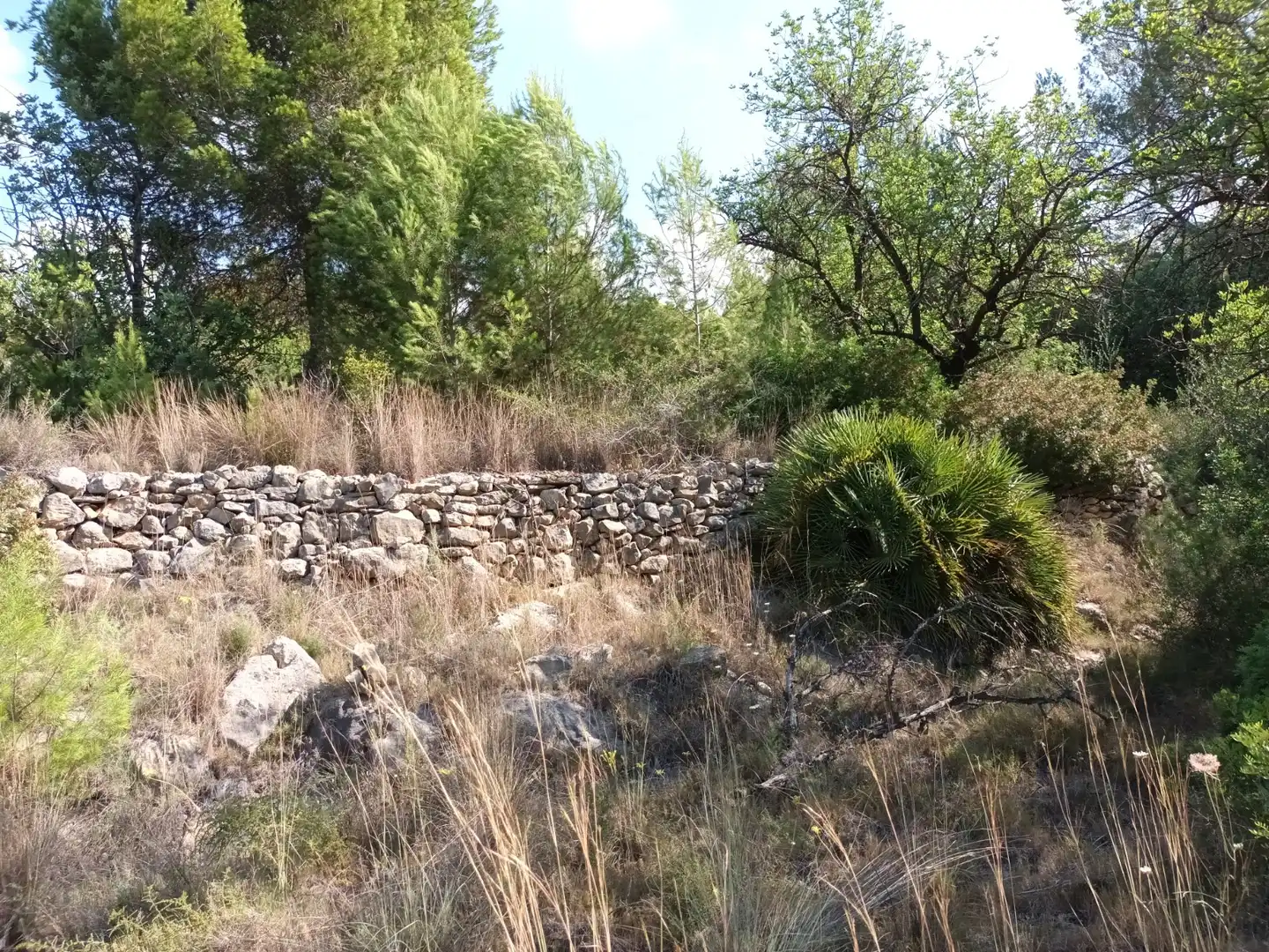 Terreno en venta en Benigànim