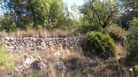 Photo 5 of Land for sale in Portichol, Pol 24, -1, Benigànim, Valencia