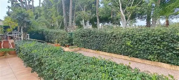 Casa con piscina en venta en Fotógrafo Francisco Cano, imagen 69