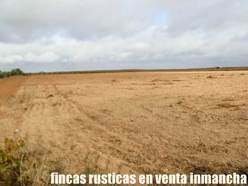 Terreni e lotti in vendita a Las Mesas, imagen 15