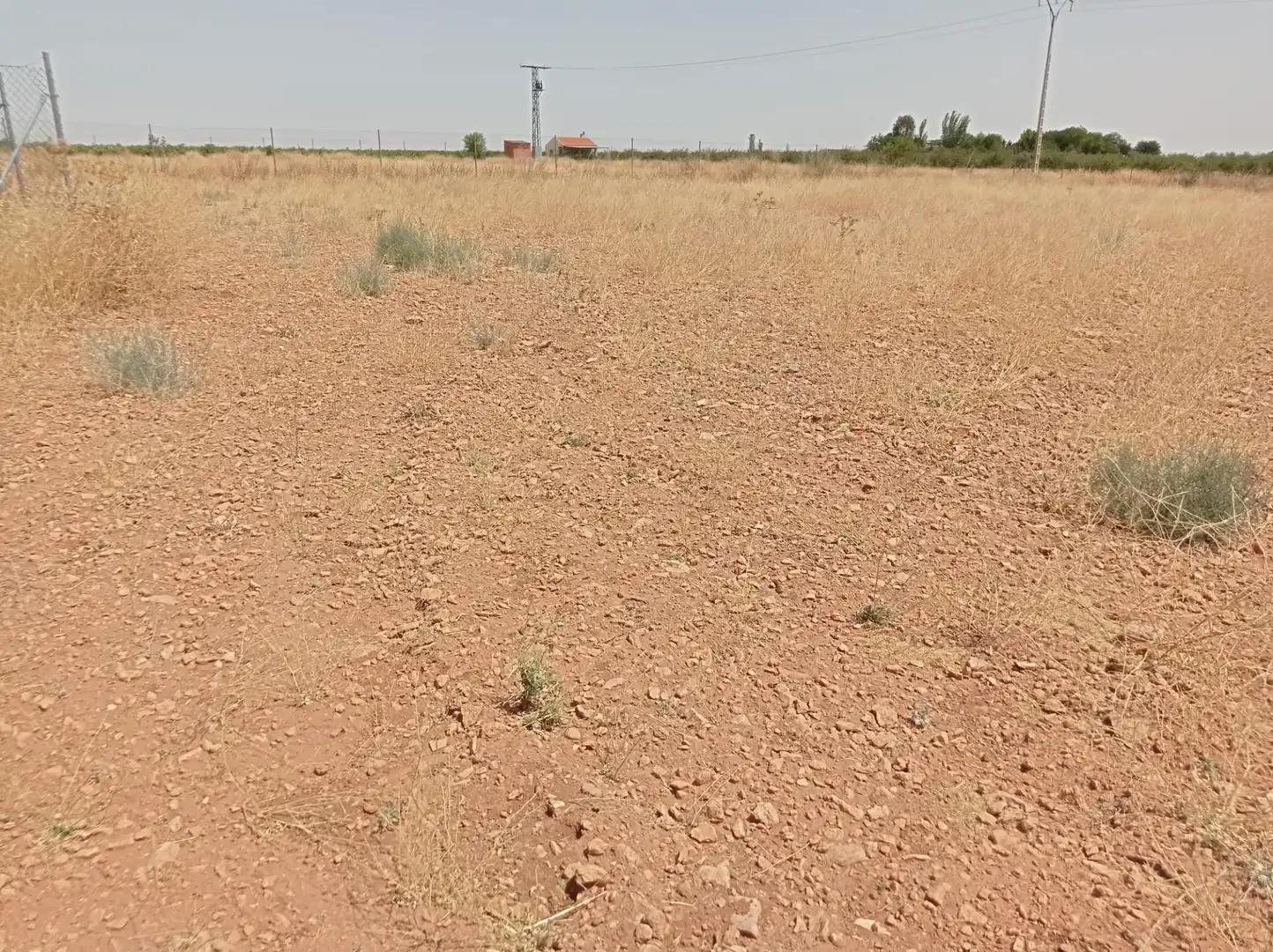 Terreno rustico in vendita a Pozuelo de Calatrava, imagen 4