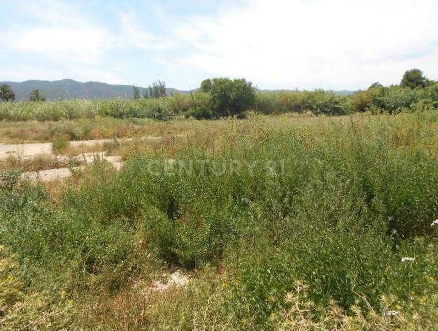 Terreny rústic en venda a Avenida del Palmar, imagen 4