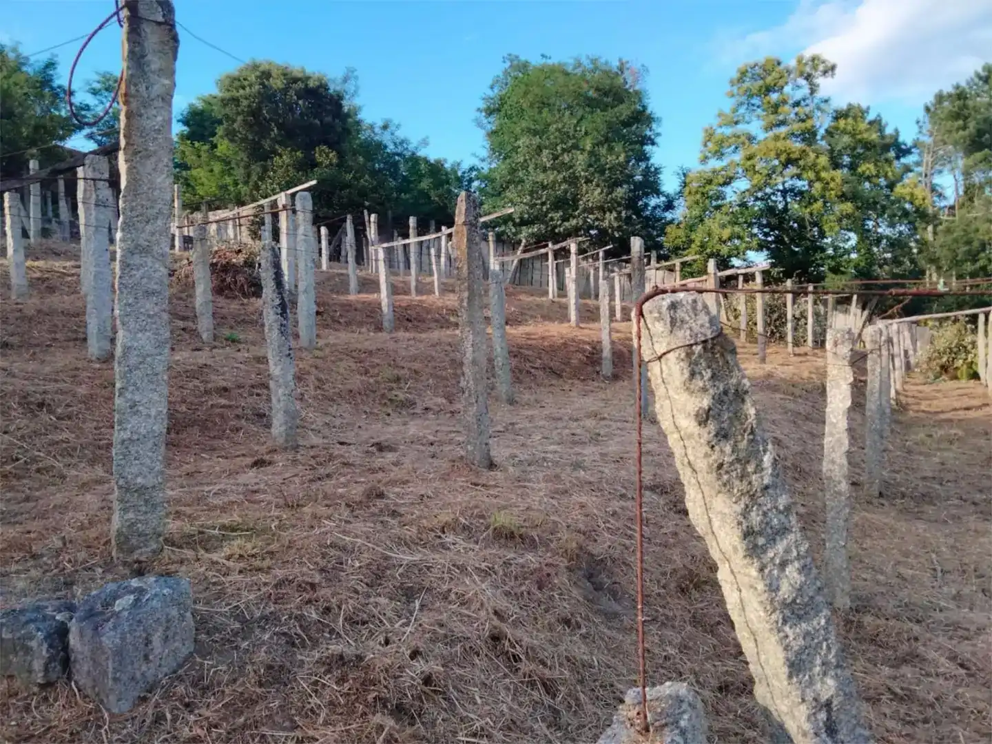 Casa o xalet en venda en Arbo