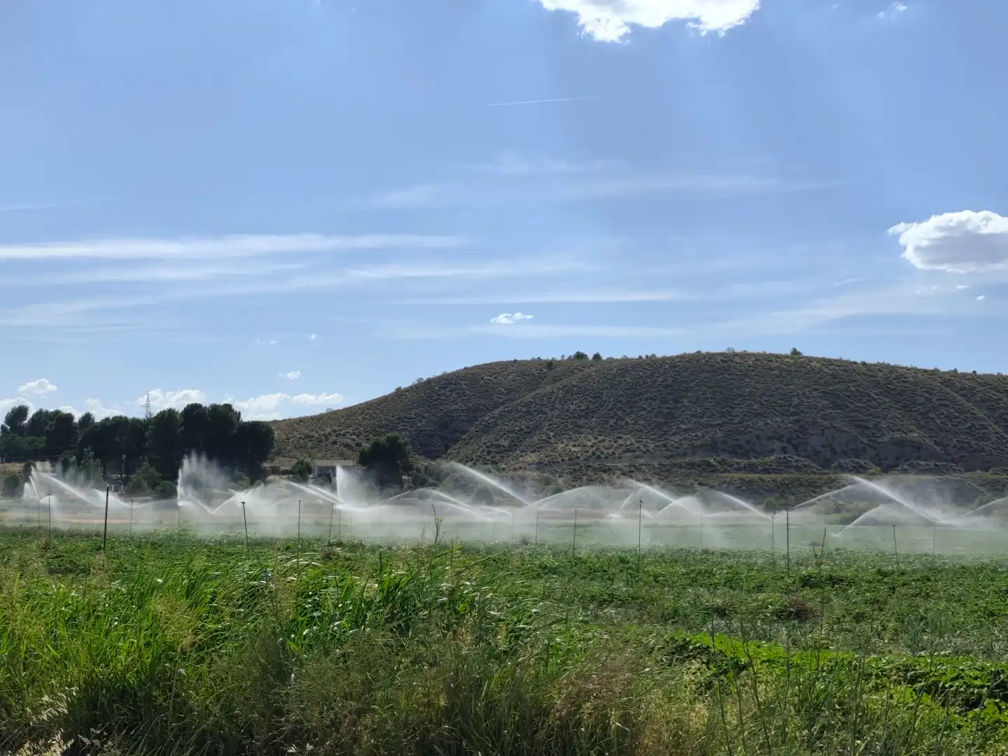 Jardí de Casa o xalet en venda en Illana amb Jardí privat, Terrassa i Piscina