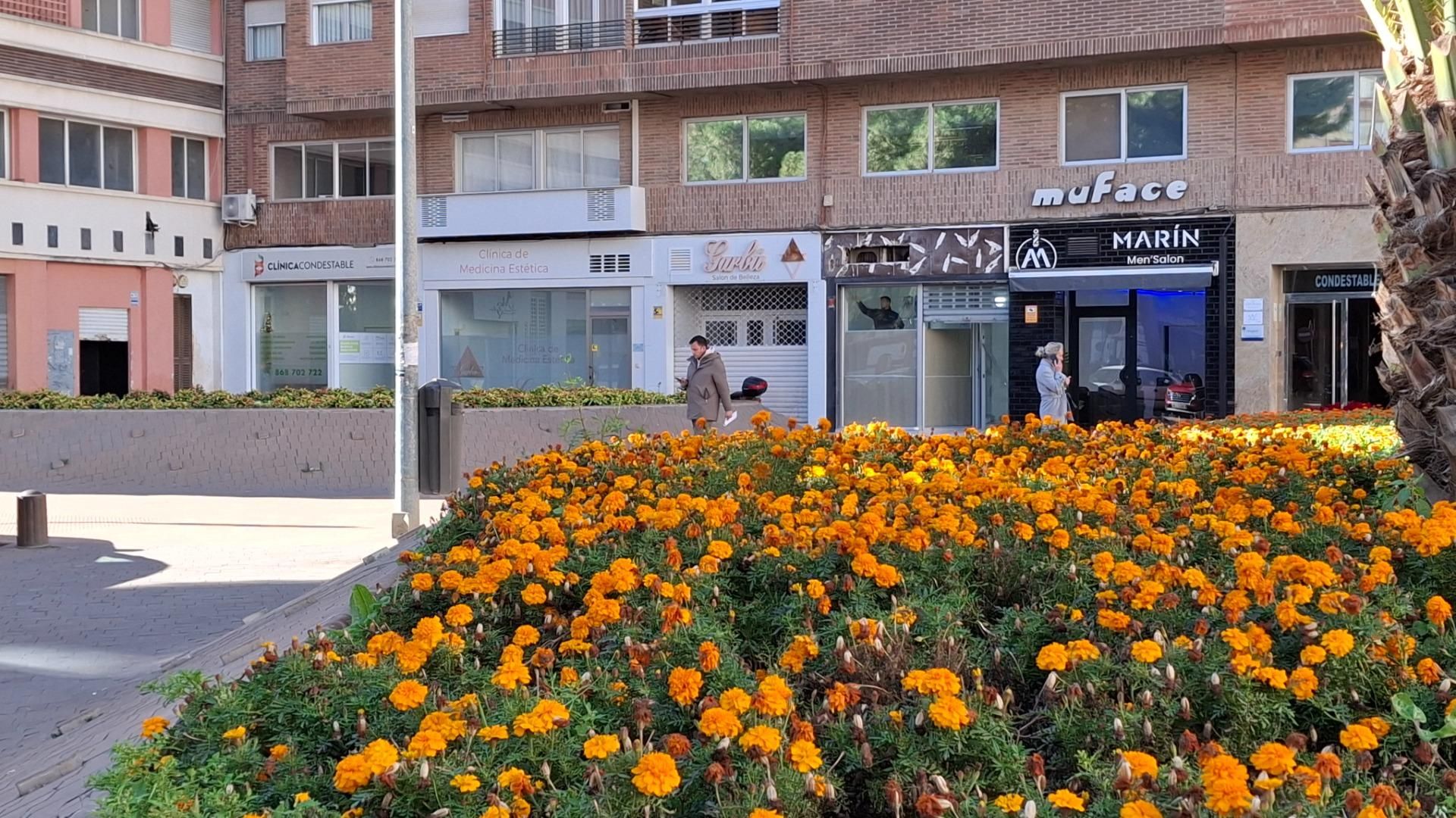 Local de alquiler en San Miguel, Centro