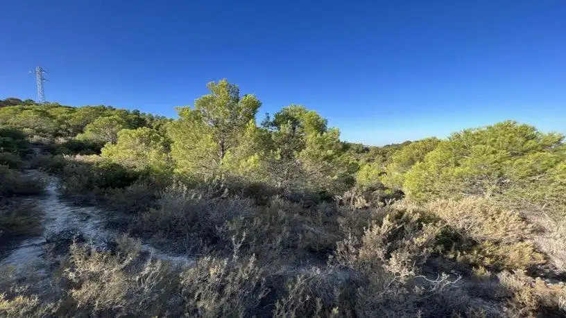 Finca rústica en venta en San Antonio O Guardarropa Pol 115.par 8,9 y 15, Osuna