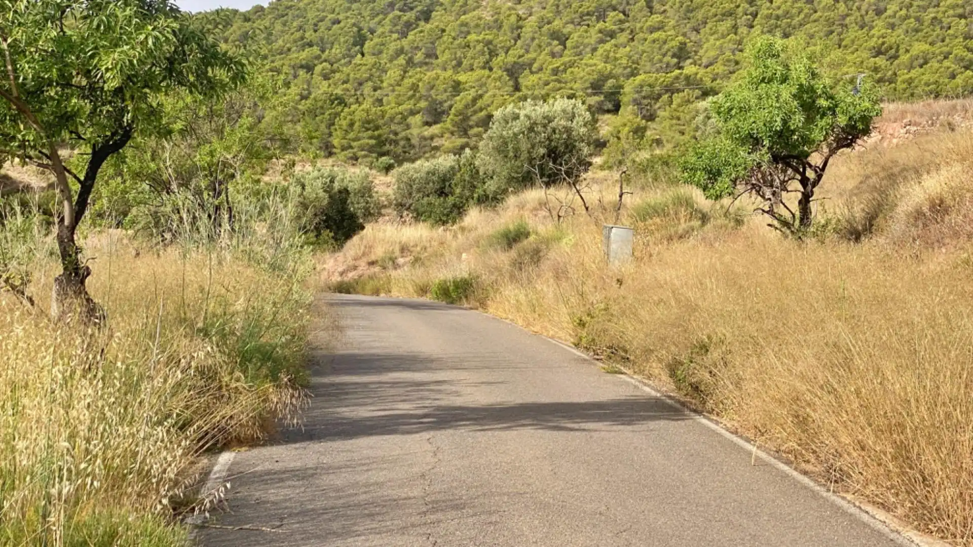 Country homes for sale in Totana