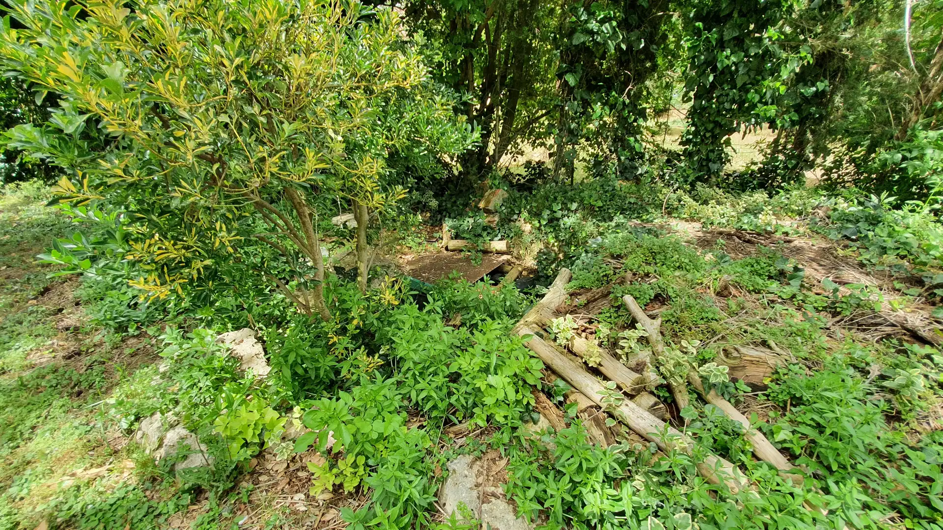 Casa o xalet en venda en Palencia amb Calefacció, Terrassa i Traster