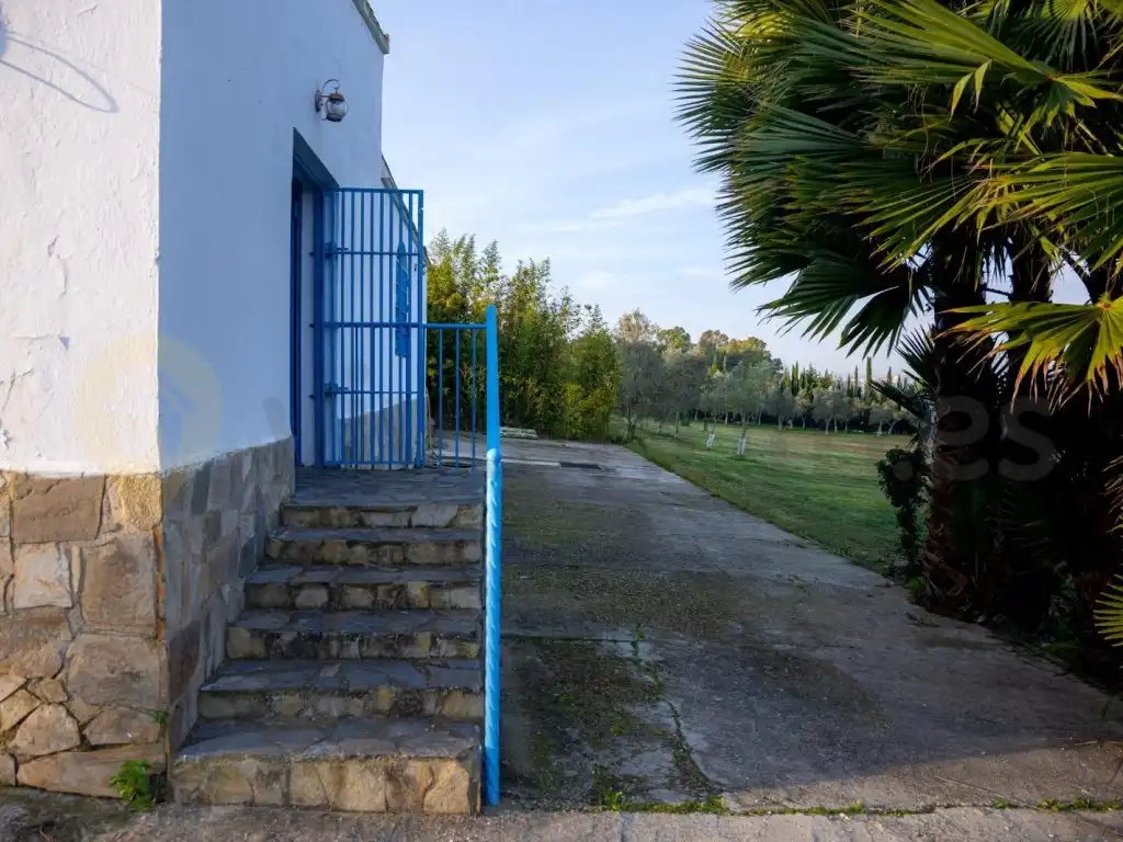 Garden of Houses for sale in Jerez de la Frontera