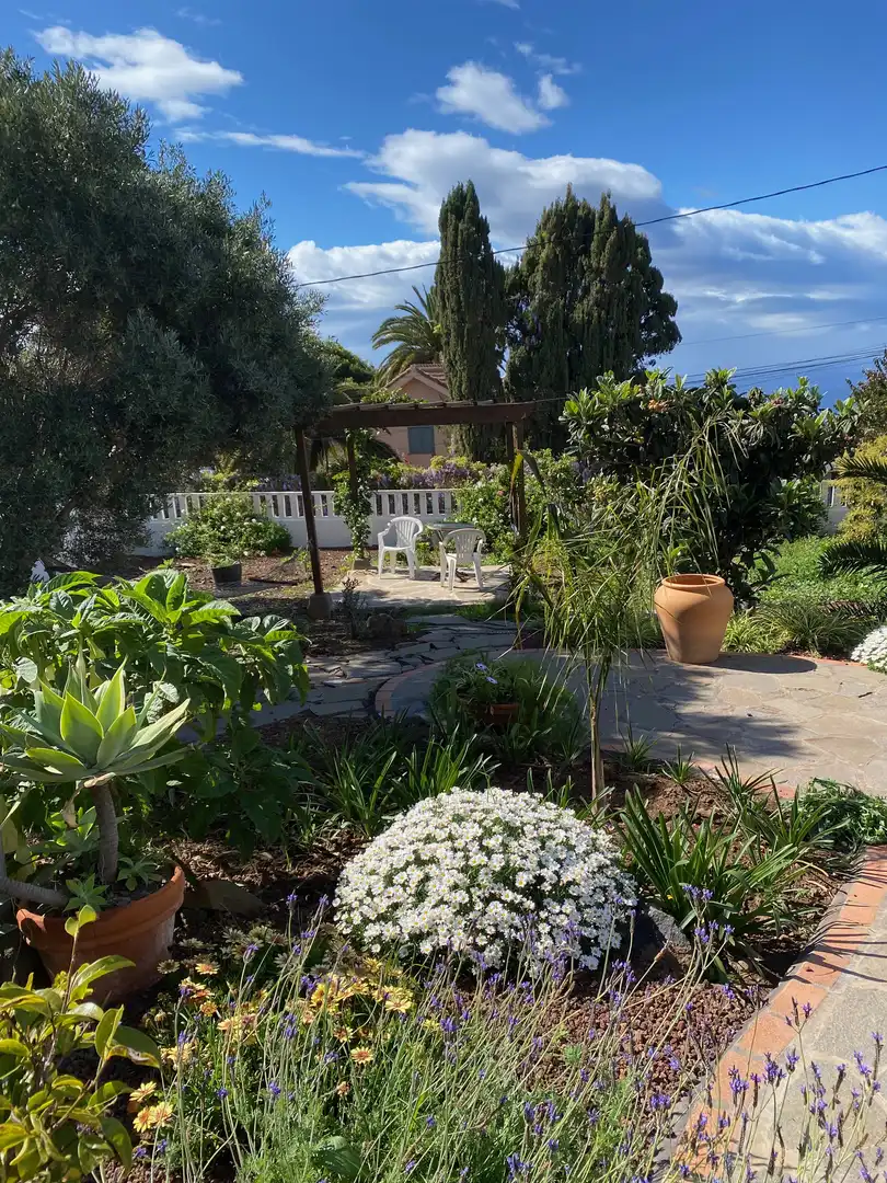 Garden of Houses for rent in Tacoronte  with Air Conditioner, Private garden and Terrace