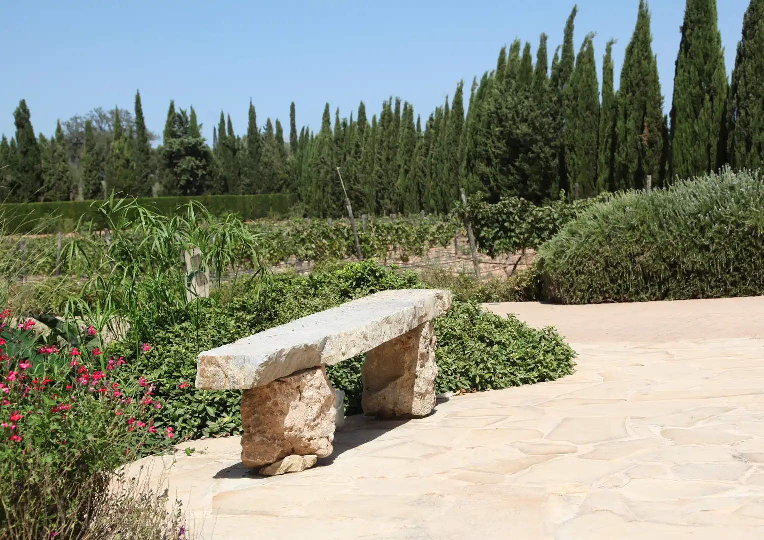 Casa con terrazza in vendita a Sencelles, imagen 19