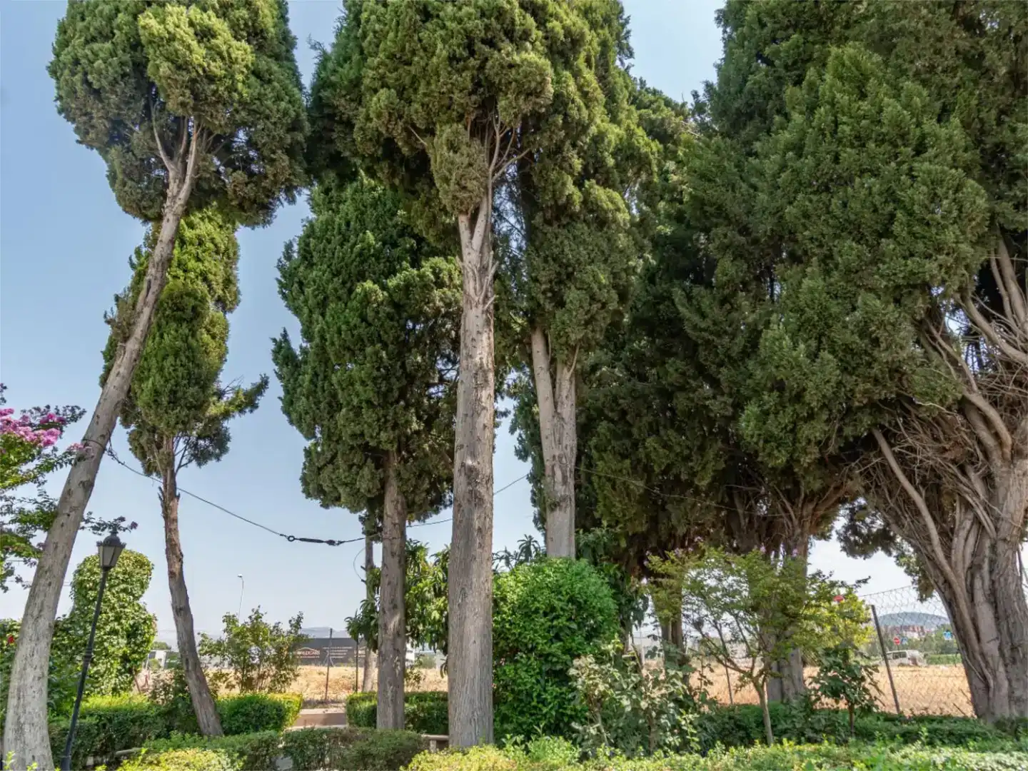 Jardín de Piso en venta en Granada con Jardín privado y Piscina