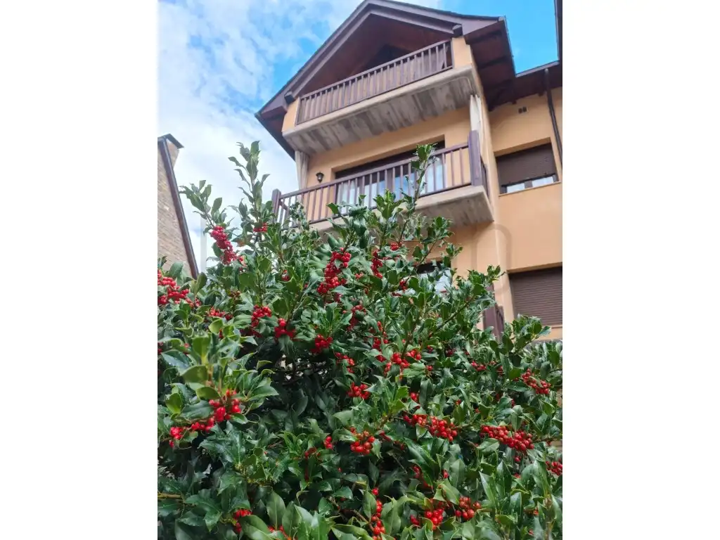 Apartment zur Miete in Vielha, imagen 20