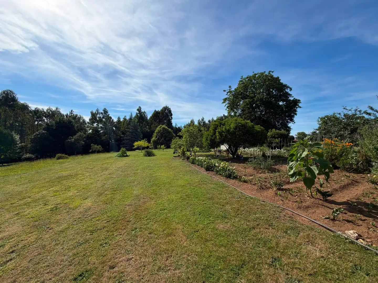 Land for sale in Fene