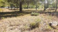 Land for sale in Estivella