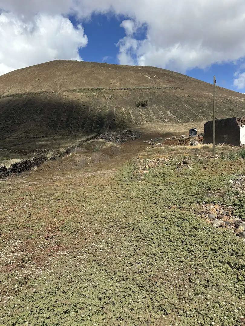 Residencial en venda a Conil - Vega del Tegoyo