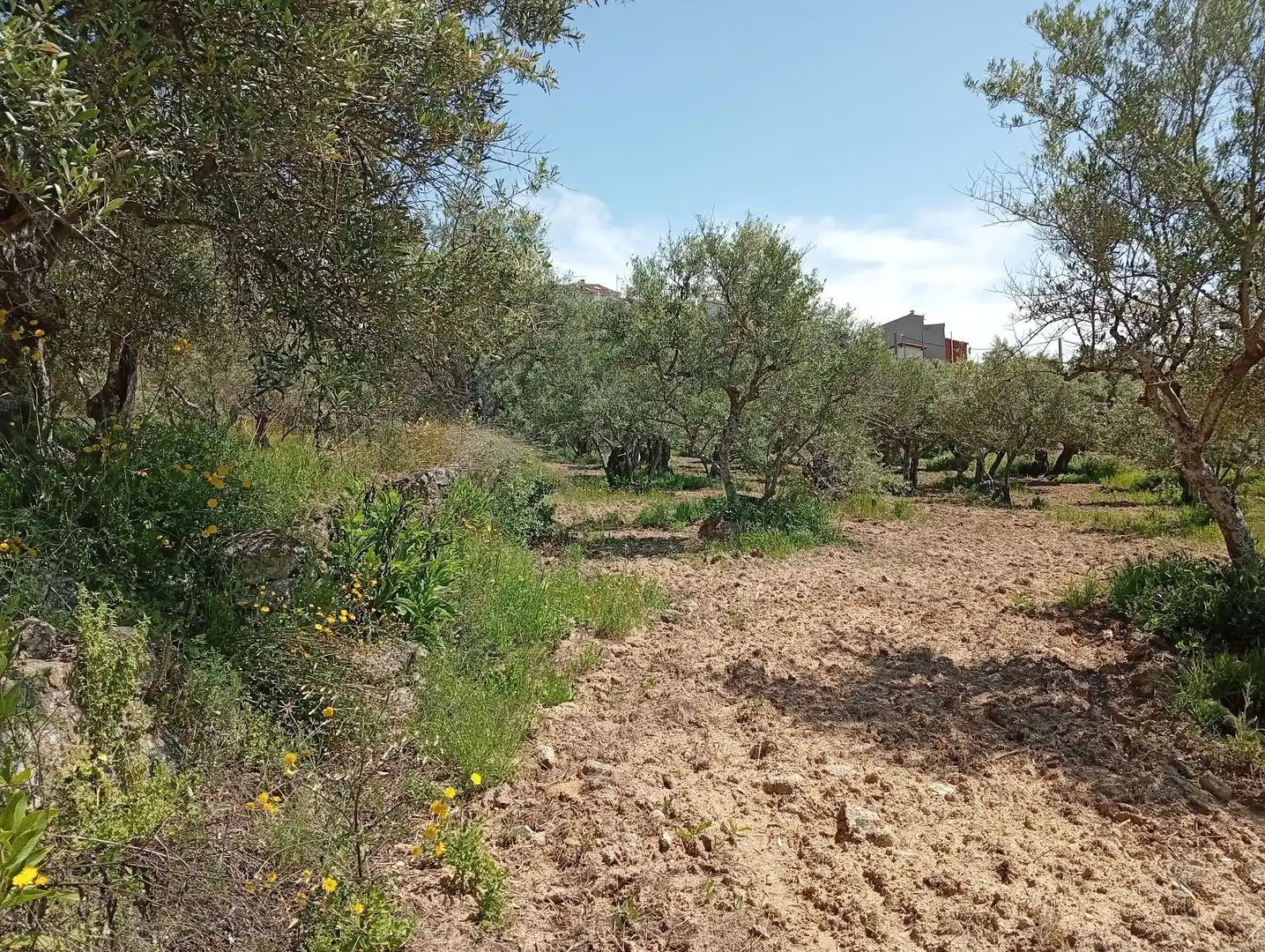 Terreni e lotti in vendita a Villanueva de la Vera, imagen 23