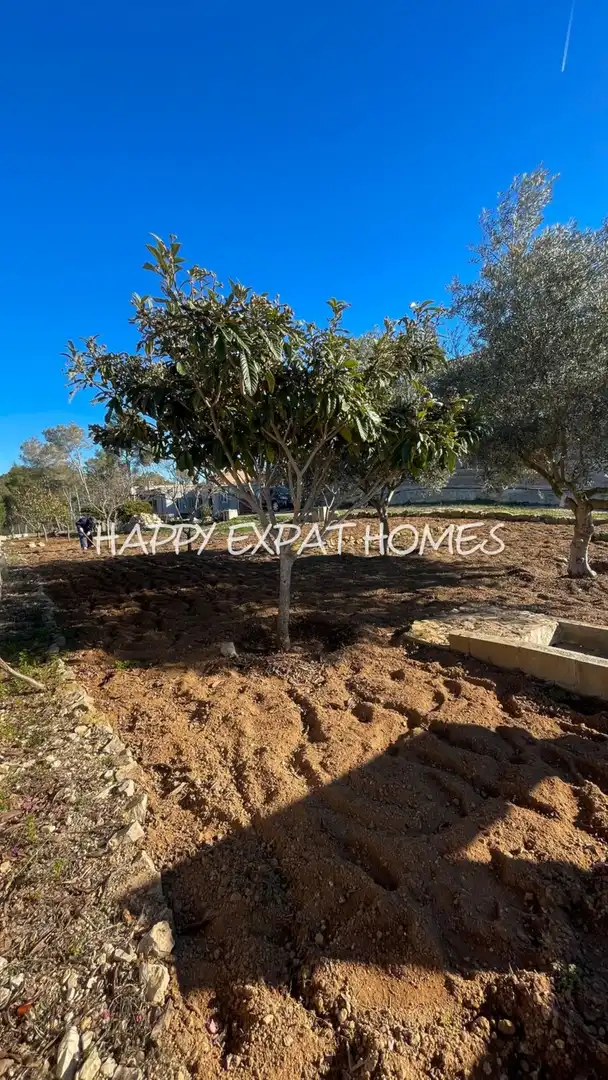 Terreny residencial en venda a Olivella, imagen 18
