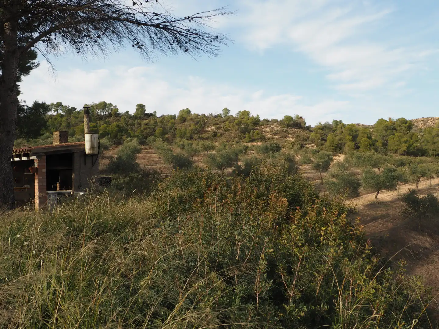 Terreno en venta en Flix