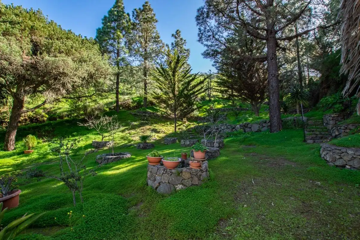 Jardín de Casa o chalet en venta en Telde con Jardín privado