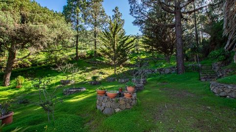 Foto 3 de Casa o xalet en venda a Valle de los Nueve - El Ejido - Medianías, Telde