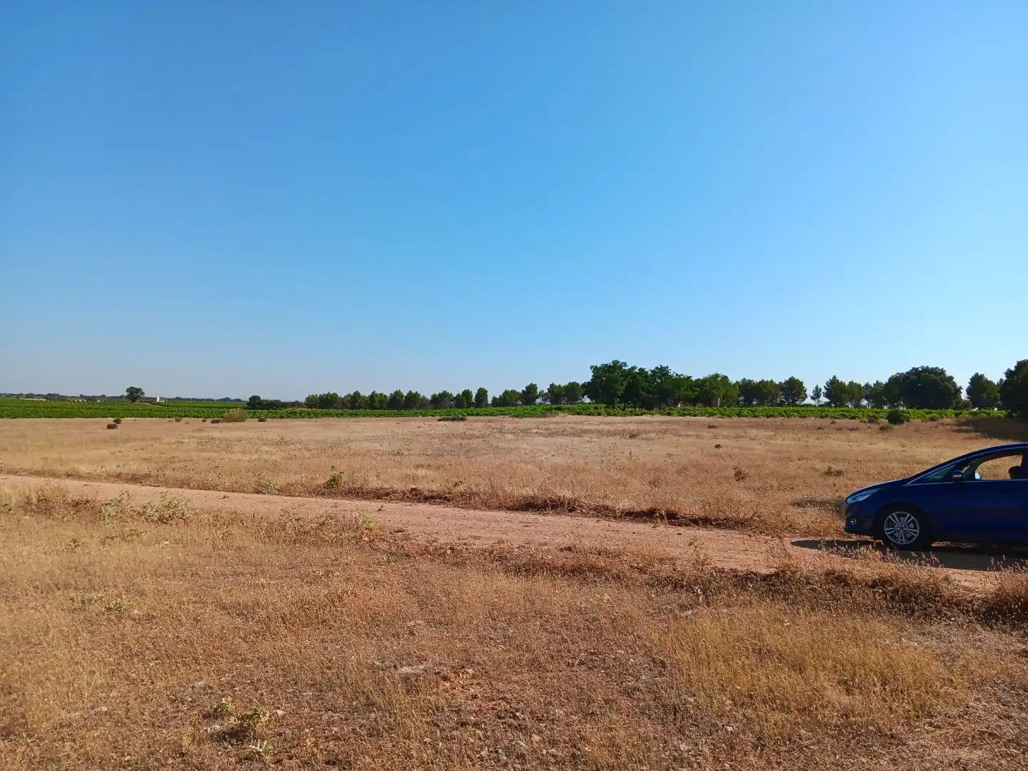 Terreno en venta en Pedro Muñoz