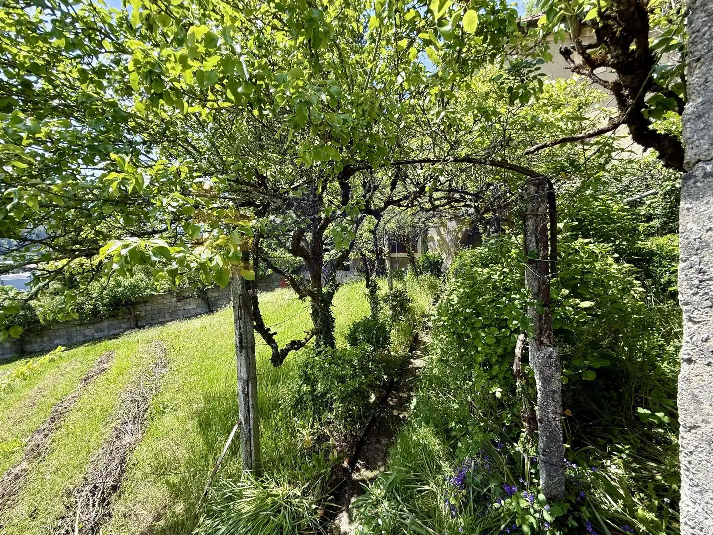 Garden of Houses for sale in Elgeta  with Private garden