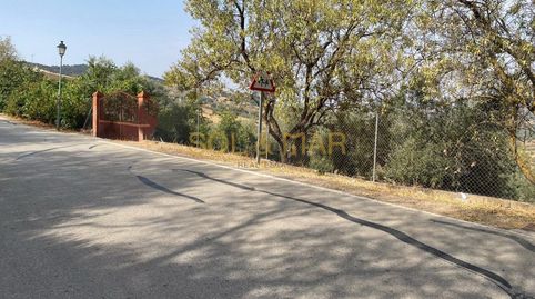 Foto 3 de Finca rústica en venta en Cueva de Menga, Antequera
